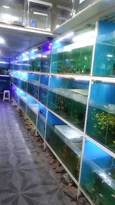 جهان اکواریوم