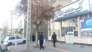 بانک صادرات شعبه شهرک شهید باهنر 5