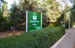 بوستان بلوط