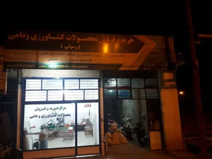 خرید و فروش گندم،جو،یونجه و.... رسولی