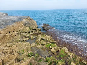 ناز