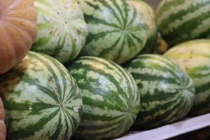 میوه فروشی روز
