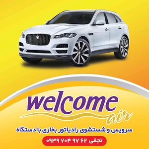 برق اتومبیل وحید