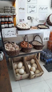 پخش تخم مرغ مزرعه