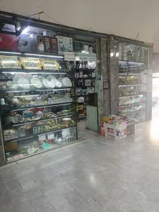 لوازم خانگی و دکوری روشا