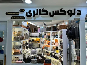 دلوکس گالری (کیف های برند زنانه)