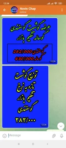 قصابی مهرداد