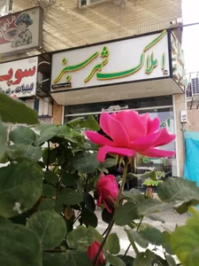 املاک شهر سبز 3