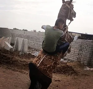 اموزش وپرورش حمیدیه
