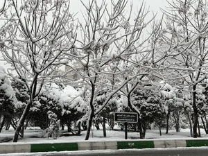 میدان عنایت الله گلستانه