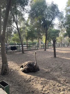 باغ پرندگان