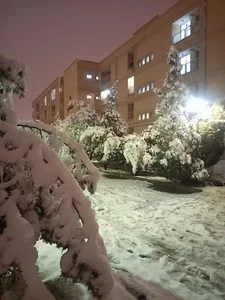 خوابگاه دانشگاه یزد