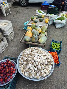 محصولات خانگی محسن