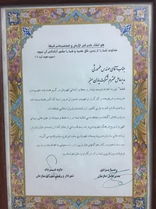 یاران سبز