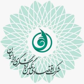 شرکت گروه اقتصادی مالی نگین ایرانیان