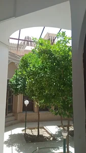 مجتمع فرهنگی امام علی ع حمیدیا