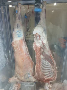 سوپر پروتئین سیمرغ. دنبه مرغ گوشت