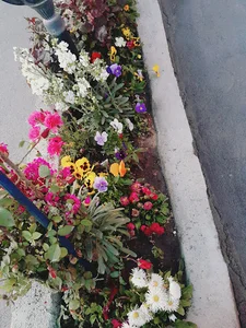 تاکسی تلفنی سومر