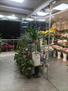 Rose Florist MEHRSHAHR