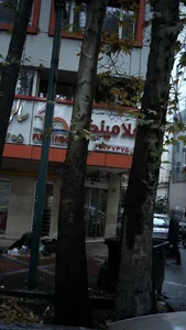 شرکت خدمات مسافر هوایی فلامینگو 2