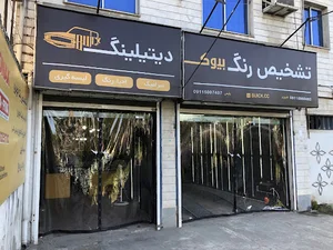 تشخیص رنگ بیوک