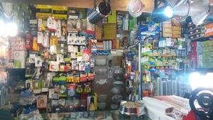 الکتریکی ستاره