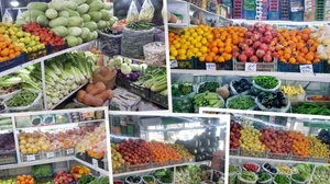 سوپر میوه مهدی