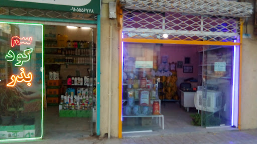 برنج تراب