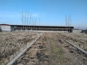 دامداری زمانی