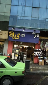 فلافل ویس گل 3