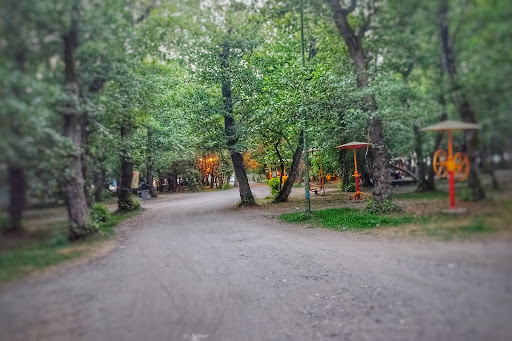 بوستان جنگلی کیاشهر