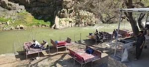 کباب ماهی