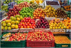 میوه سرای بلوط