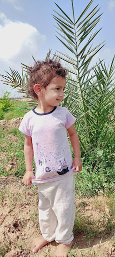 پارک وفضای سبز