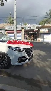 گلسراگل آقا