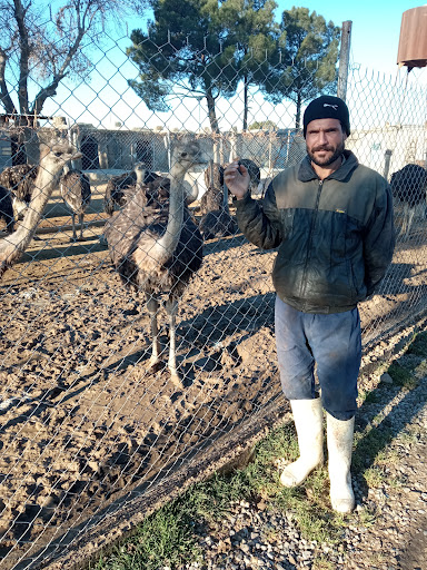 گلستان دام تجری ابراهیم