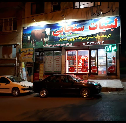 باشگاه مدالیون