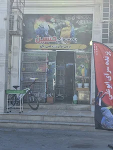 پرنده فروشی ابوعلی