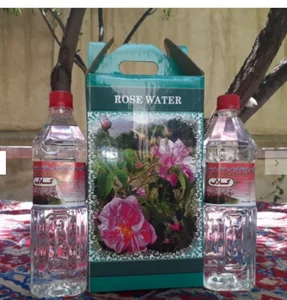 گلابگیری محسن اکبرپور