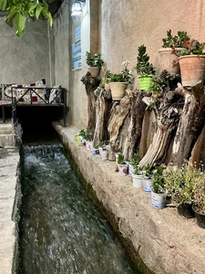 اقامتگاه بومگردی چنارستان