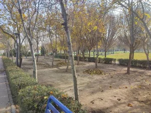 بوستان ارم 4