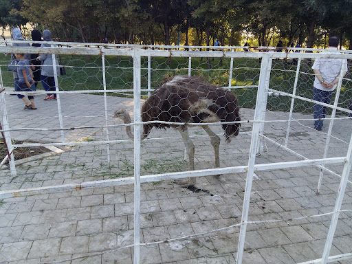 باغ ‌پرندگان