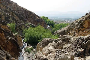 رنگ و ابزار علی