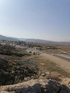 کوپن