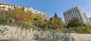 آسایشگاه سالمندان بزرگمهر 2