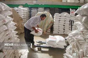 انبار احتکار ۱۴۰ تُن برنج‌ در شیراز کشف شد - خبرگزاری مهر | اخبار ایران و  جهان | Mehr News Agency