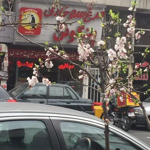 فست فود پنگوئن 4