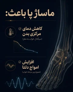 مجموعه‌ نیلوفراسپا 3
