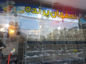 اصفهان پرنده