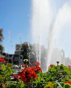 میدان آزادی